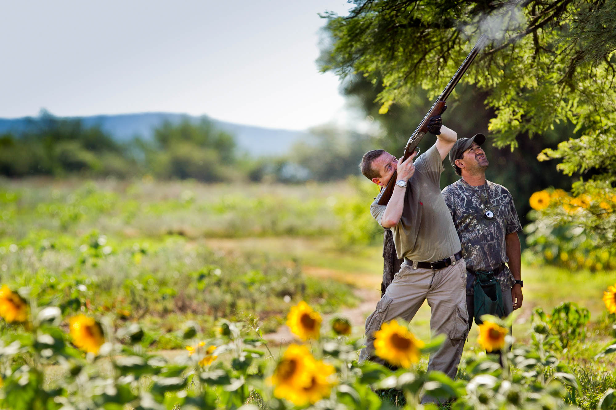 Dove Hunting